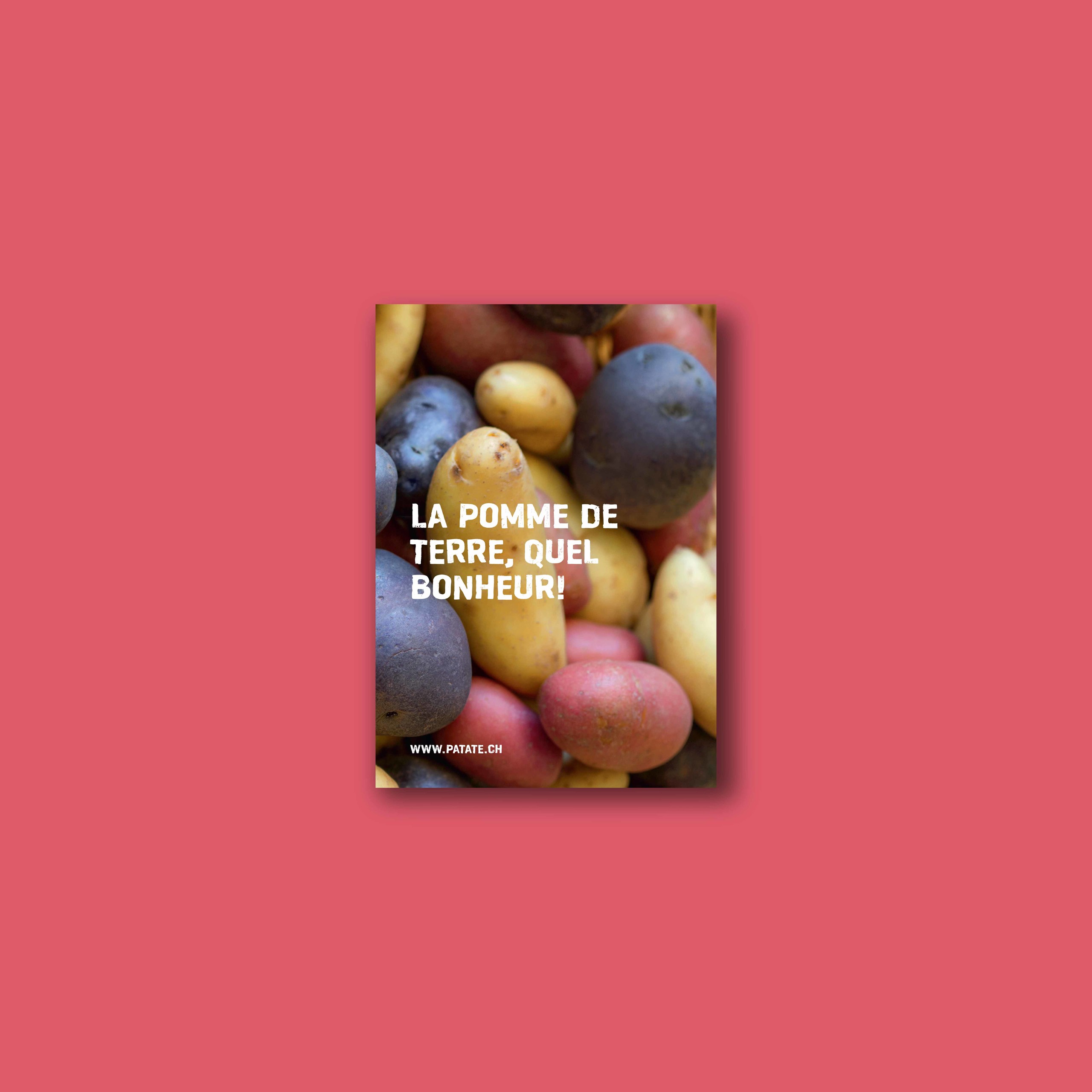 La Pomme De Terre Quel Bonheur Brochure Shop Kartoffel 2295